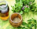 wellhealthorganic.com: health-benefits-and-side-effects-of-oil-of-oregano